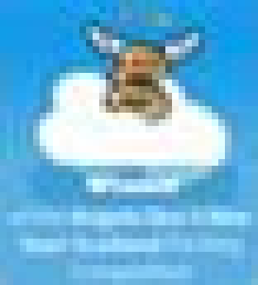 Primary Teacher Award