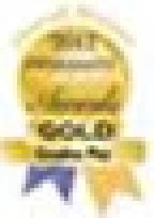 Creative Play Gold Award